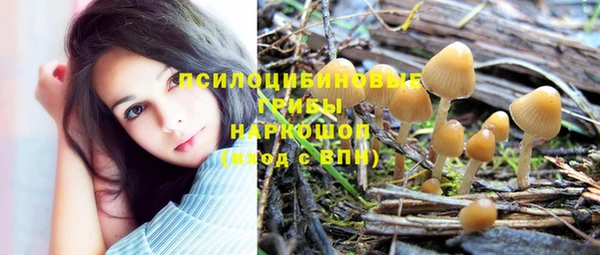 метамфетамин Верея
