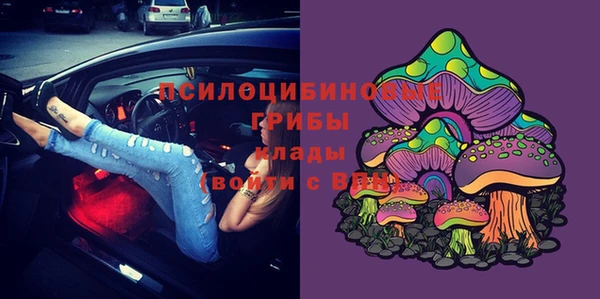 ГАЛЛЮЦИНОГЕННЫЕ ГРИБЫ Верхнеуральск