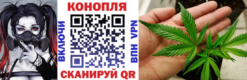 blacksprut вход  Мариинск  даркнет как зайти  сколько стоит  Бошки Шишки SATIVA & INDICA 